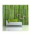 Papier Peint Mur Vert Bambou II 450x270cm-1