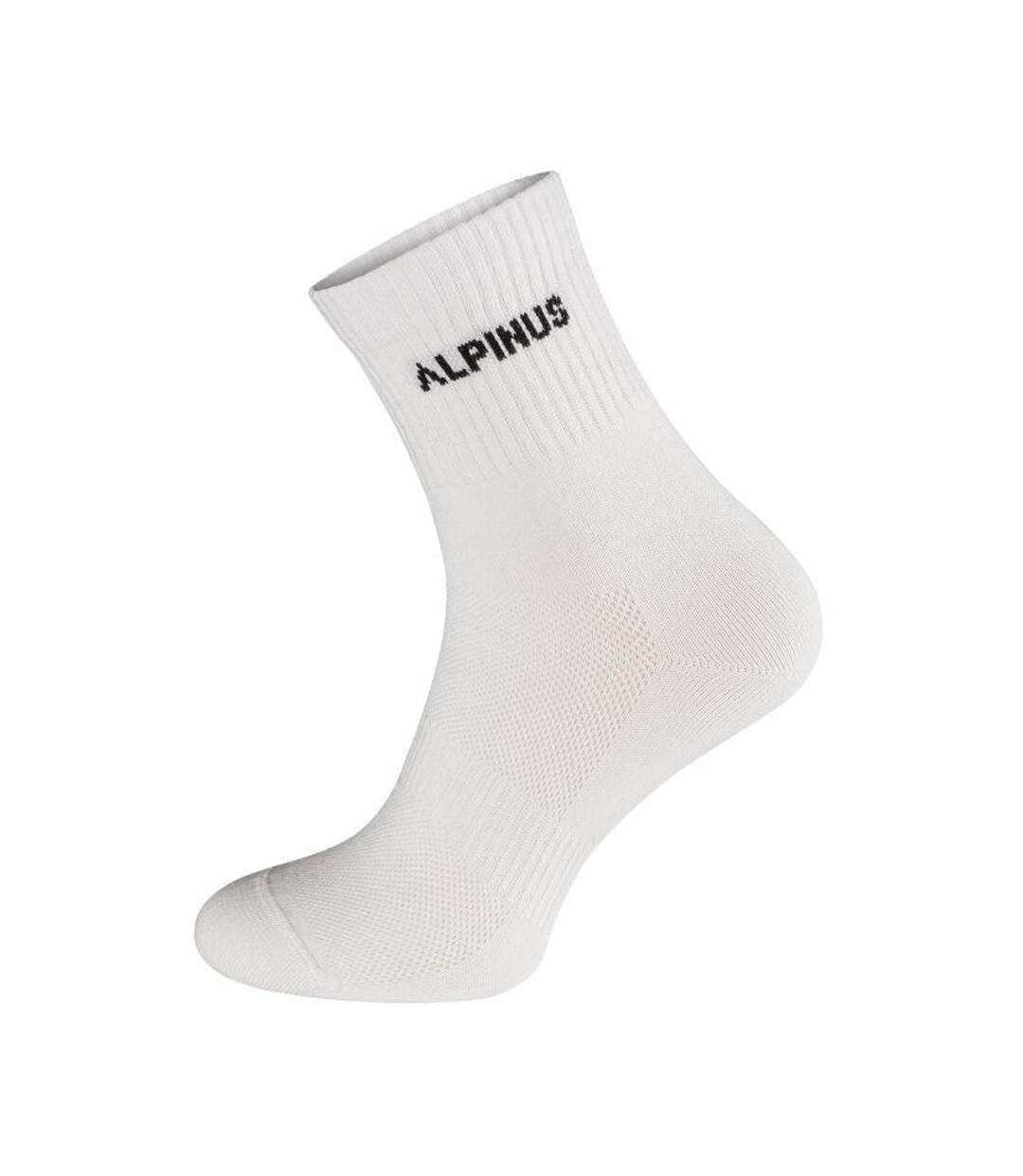 Chaussettes Alpamayo Adulte Blanc Noir Gris Alpinus-2