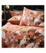 Wylder Tropics Kushiro Exotic Sateen Duvet Set (Coral) - UTRV3346