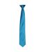 Premier - Cravate - Adulte (Bleu sarcelle) (One Size) - UTPC6346
