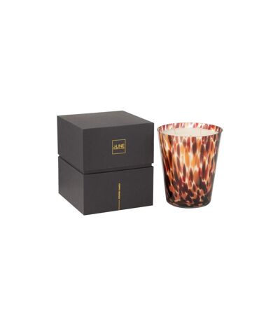 Bougie Parfumée Noa 20cm Magnificient Birch