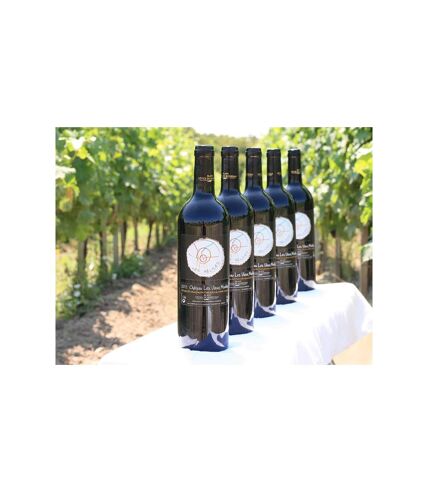 Visite de vignoble biologique avec dégustation de 3 vins pour 2 près de Blaye - SMARTBOX - Coffret Cadeau Sport & Aventure