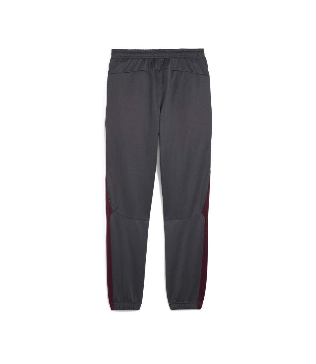 Manchester city jogging gris homme puma 2024/25-2