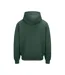 Unisex Adult Signature Heavyweight Hoodie Bottle Green Awdis-2