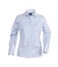 James Harvest Womens/Ladies Reno Stripe Formal Shirt (Light Blue)