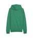 Sweat À Capuche Team Goal Homme Vert Puma-2