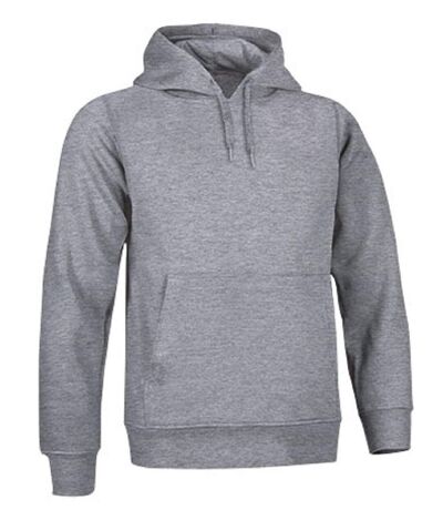 Sweat à capuche - Homme - réf ARIZONA - gris chiné