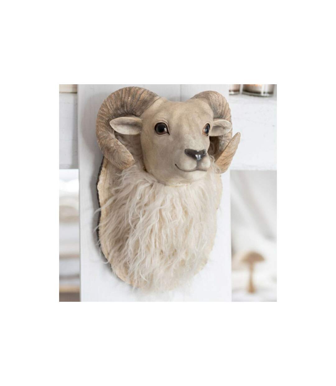 Trophée Mural Design Tête de Chèvre 36cm Beige-2