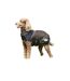 Manteau pour chien comfitec ultra cozi medium/lite 35 cm charbon / bleu / blanc Weatherbeeta-2