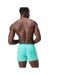 Short De Bain Style Rétro Volley Homme Bleu Speedo-2