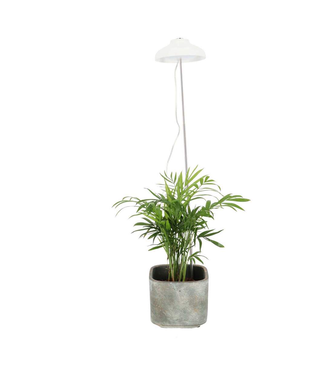 Lampe de croissance pour plantes ampoule led