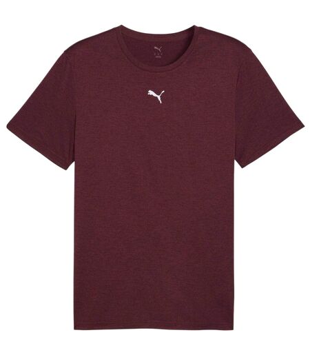 Mens Tad Performance Gym T-shirt Burgundy Puma