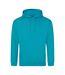 Sweat À Capuche College Adulte Bleu Lagon Awdis-1