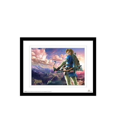 The Legend Of Zelda - Imprimé BREATH OF THE WILD (Bleu / Vert) (40 cm x 30 cm) - UTPM6331