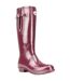 Bottes De Pluie Femme Bordeaux Rockfish-1
