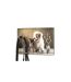Paris Prix - Porte-clés Mural chien & Chat 30cm Marron