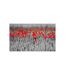Papier Peint Coquelicots Rouge sur Champ Noir & Blanc 270x450cm-2