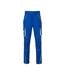 Pantalon Level Homme Bleu Roi Blanc James And Nicholson-1