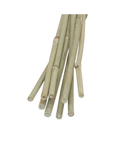 Tuteurs en bambou