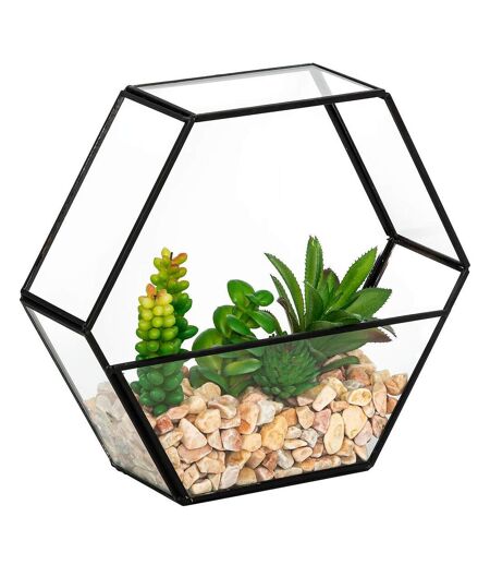 Terrarium Hexagonal en Verre Pia 20cm Noir