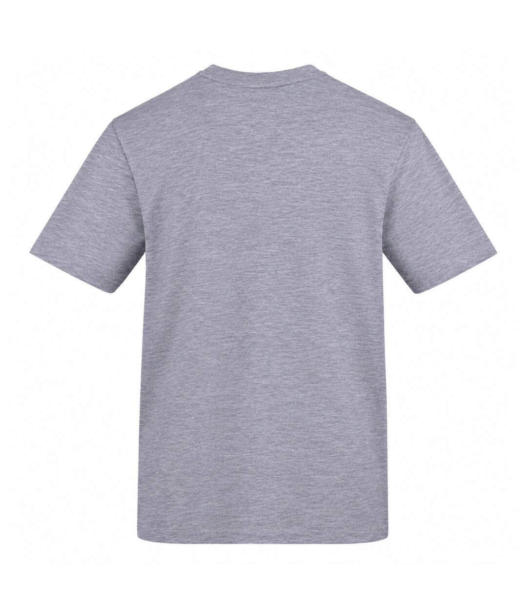 Unisex Adult Lads On Tour T-shirt Grey AWD-2