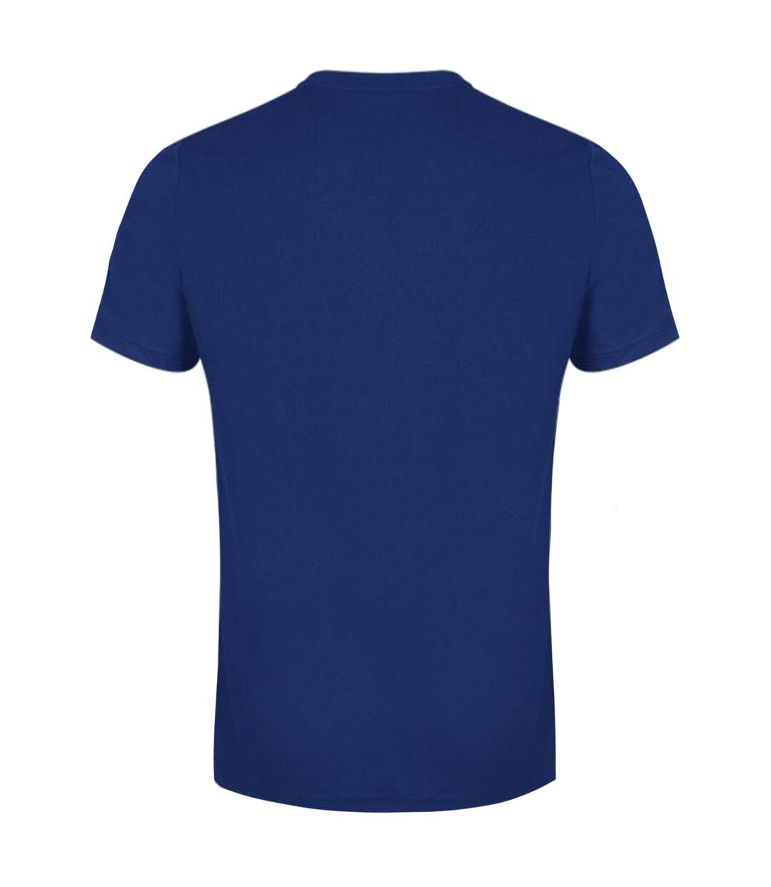 Canterbury Unisex Adult Club Dry T-Shirt (Royal Blue)