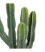 Cactus Artificiel Exotic Panama 117cm Vert-2