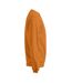 Sweat New Homme Orange Promodoro-3