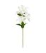 Tige Artificielle 4 Lys Jago 80cm Blanc-1
