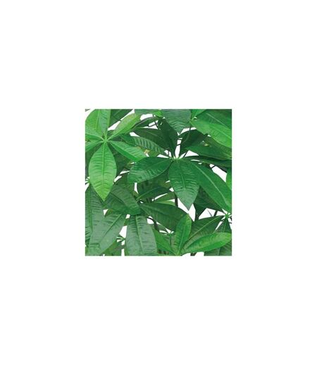 Plante artificielle Pachira 155 cm
