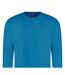 Sweat Adulte Bleu Saphir Awdis-2