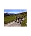 Découverte de la géologie en famille : randonnée de 5h face au mont Blanc - SMARTBOX - Coffret Cadeau Sport & Aventure