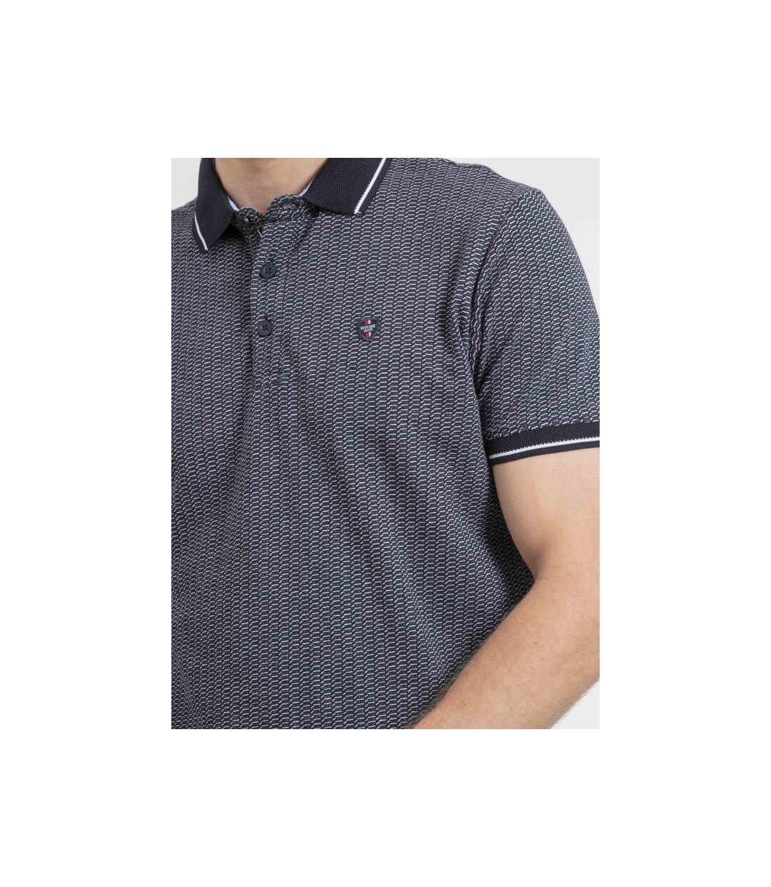 Polo manches courtes pur coton motifs PIGUMAX-3