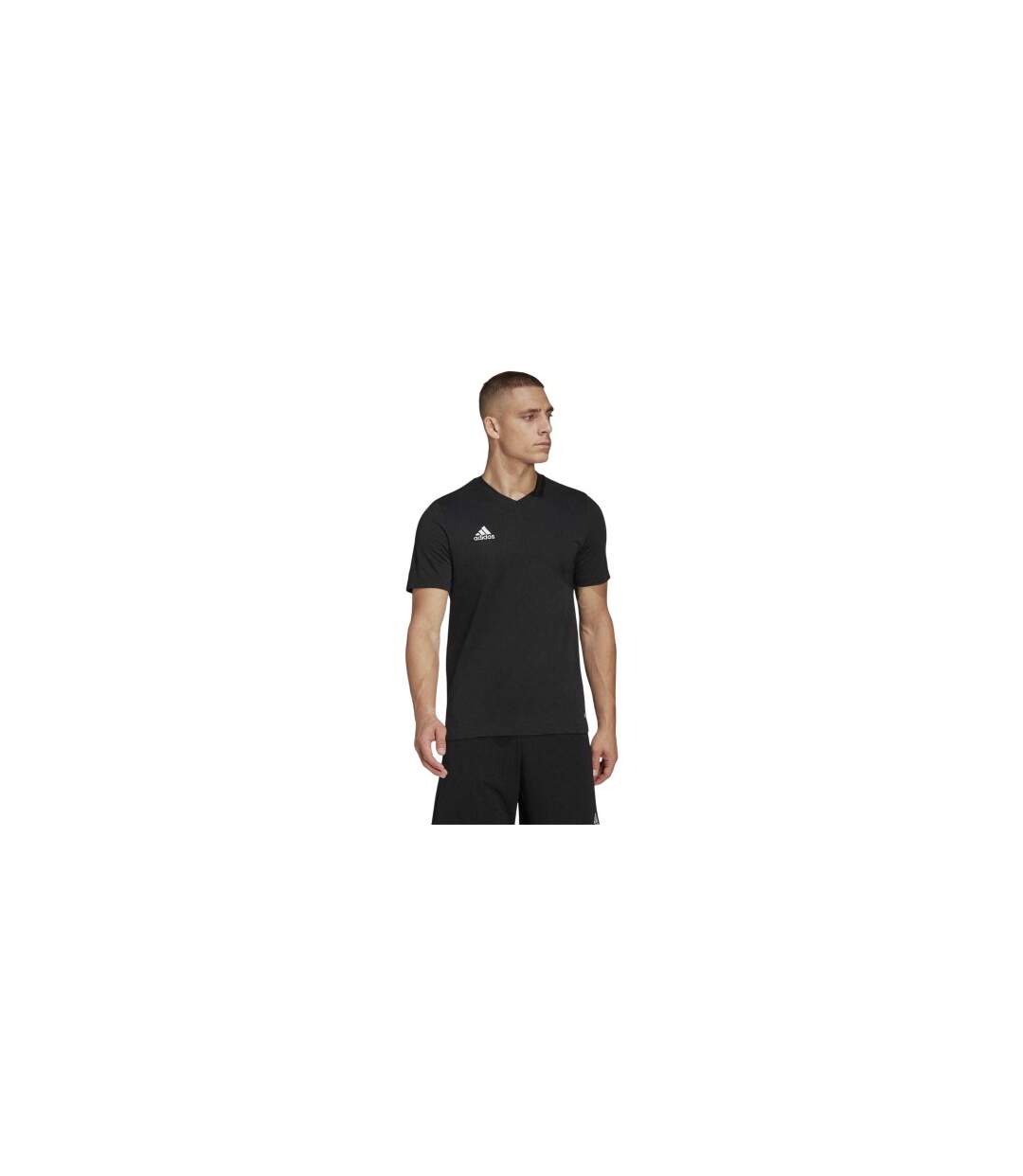 T-shirt Entrada Homme Noir Adidas-1