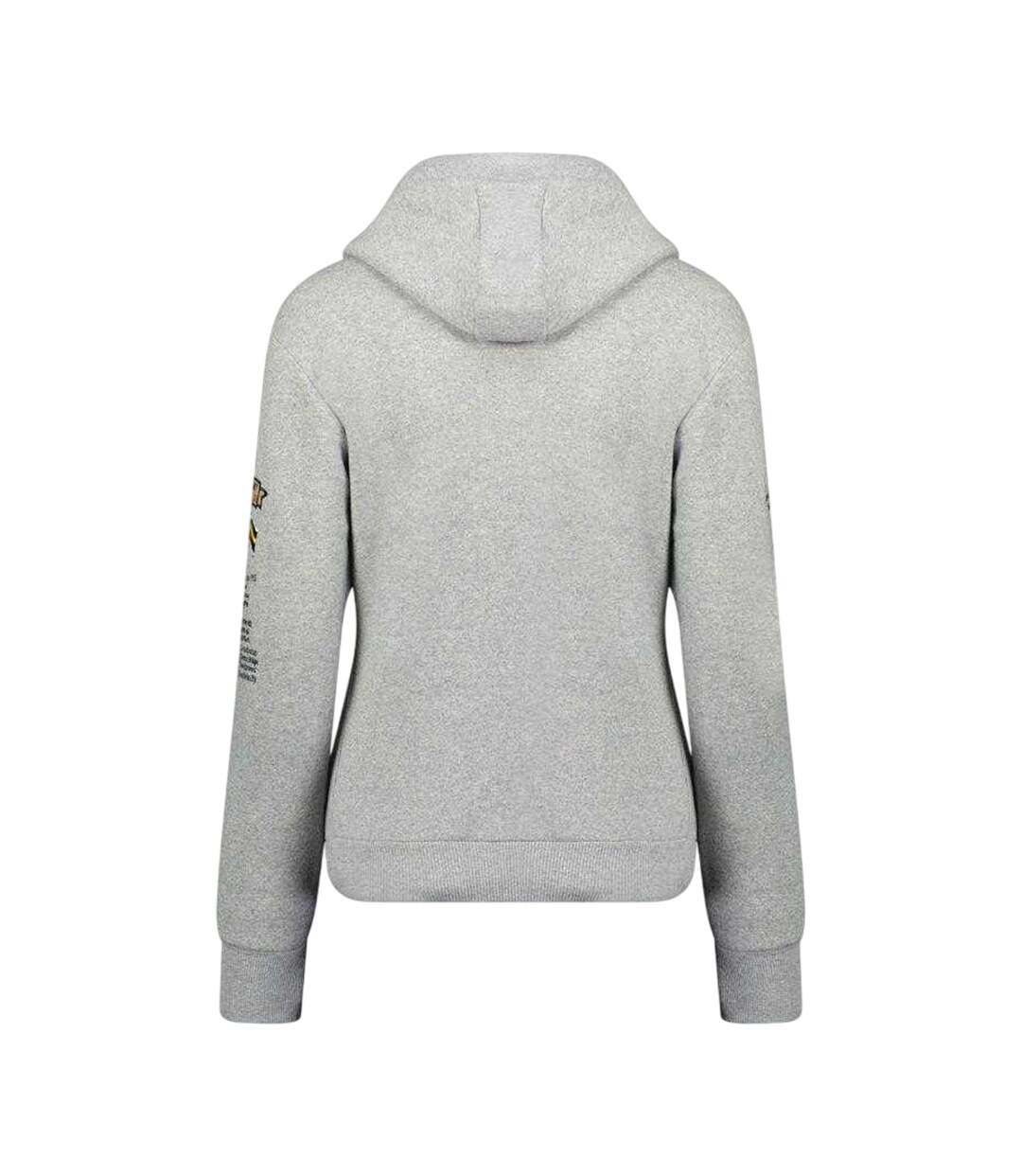 Sweat À Capuche Gymclass Distri Homme Gris Geographical Norway-2
