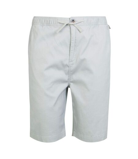 Mens aldan chino shorts silver grey Regatta