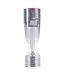 Lot de 6 Verres à Vin Réutilisable Liseré 18cl Argent-3
