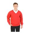 Absolute Apparel Mens V Neck Sweat (Red)