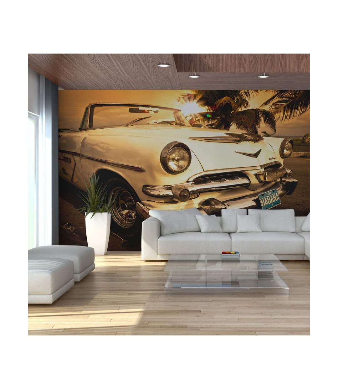 Papier Peint Viva Havana! II 270x450cm-1