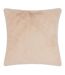 Paoletti - Housse de coussin STANZA (Beige clair) (55 cm x 55 cm) - UTRV3268