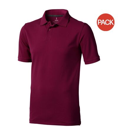 Lot de 2  polos manches courtes calgary homme bordeaux Elevate