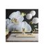 Paris Prix - Papier Peint phalaenopsis 270x450cm