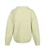 Regatta Womens/Ladies Kaylani Knitted Sweater (Basil Green) - UTRG8082