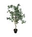 Plante Artificielle Eucalyptus Cony 127cm Vert-1