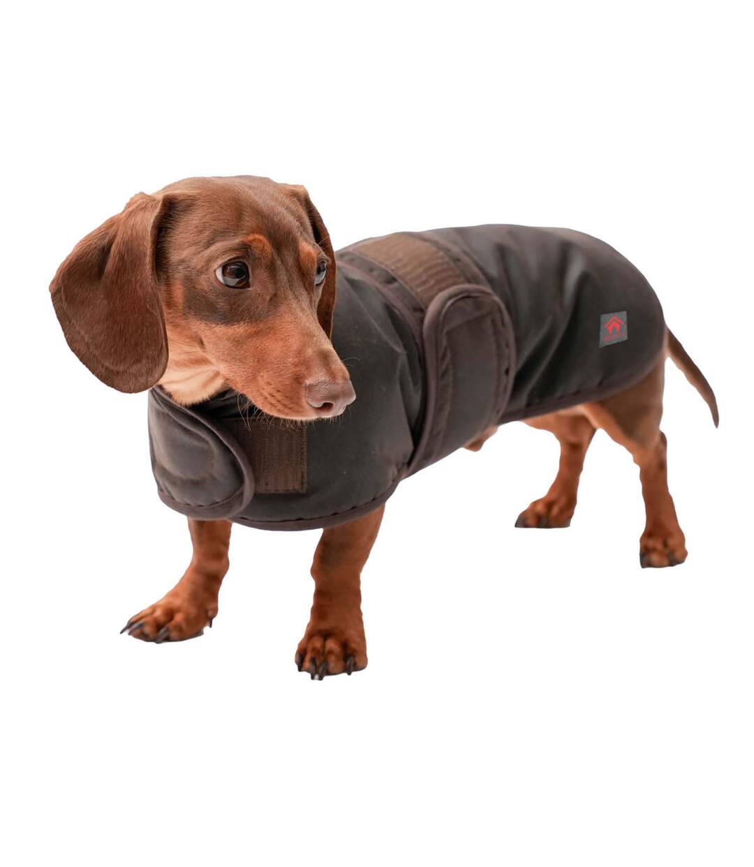 Dachshund waxed dog coat 46cm brown Firefoot-1