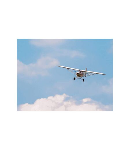 Vol en avion ultra-léger d'1h près de Colmar - SMARTBOX - Coffret Cadeau Sport & Aventure
