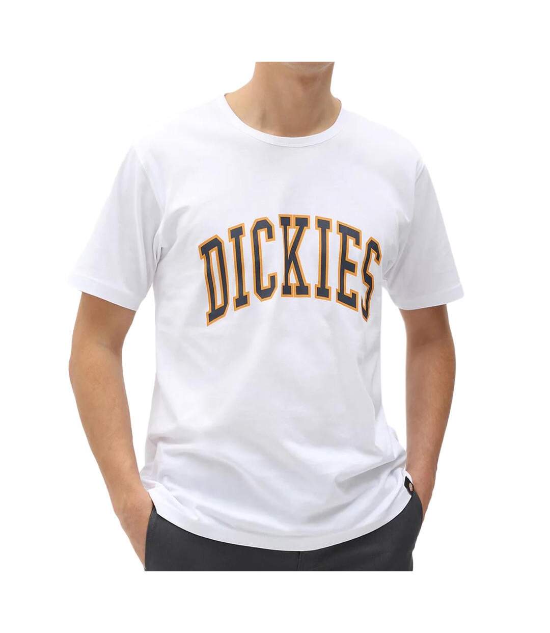 T-shirt Blanc Homme Dickies Aitkin - M