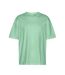T-shirt Adulte Menthe Tiger Cotton By Neutral-1