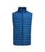 Doudoune Sans Manches Arches Homme Bleu James Harvest-1