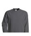 Unisex Adult Set-in Sweatshirt Steel Grey B&C-2